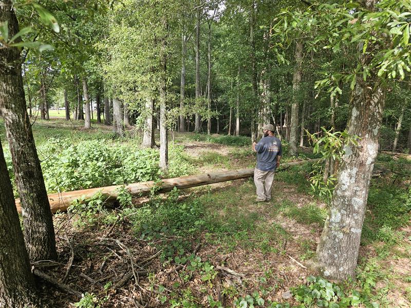 BHH Land Management|Macon