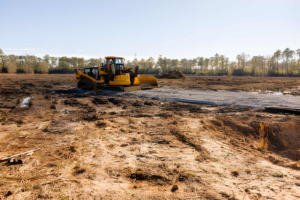 BHH Land Management | No Till Food Plots in Georgia: A Complete Beginner’s Guide for Deer Hunters