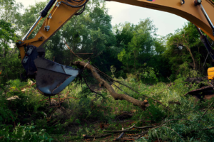 BHH Land Management | Land Clearing Costs in Georgia: Real Prices Per Acre and What Property Owners Should Expect